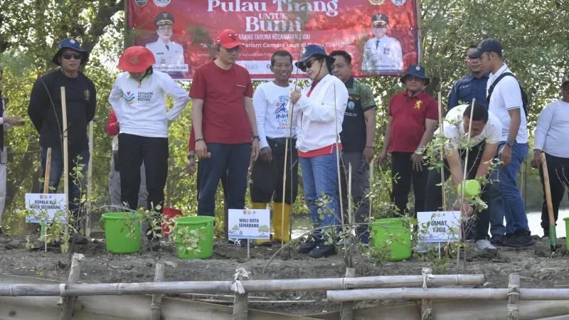 Agustina Minta Karang Taruna Rawat Bibit Cemara Laut di Pulau Tirang