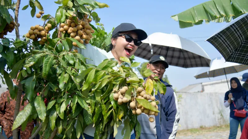 Wali Kota Agustina Wilujeng Resmikan Agro Eduwisata Masjid Agung Semarang