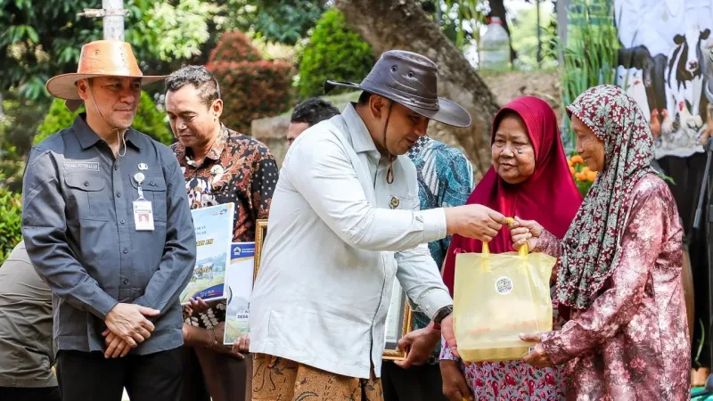 Dongkrak Produksi Susu Sapi Perah, Pemprov Jateng Andalkan Inseminasi Buatan