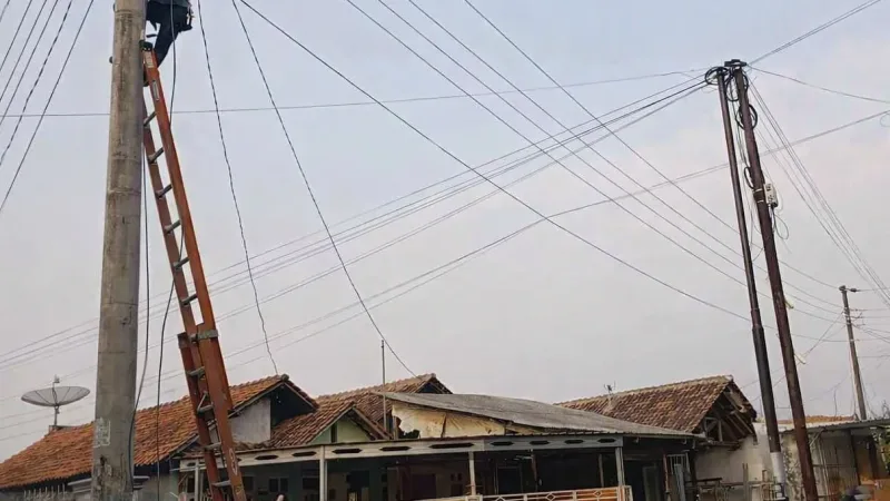 PLN Icon Plus Perkuat Keandalan Jaringan lewat Perapihan Kabel di Batang