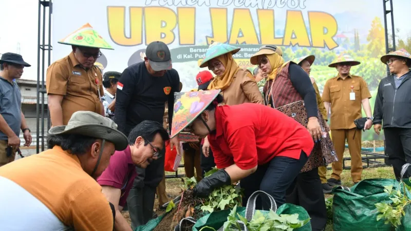 Agustina Dorong Urban Farming di Semarang untuk Perkuat Ketahanan Pangan di Lahan Sempit