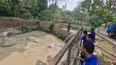 Kemarau Panjang Keringkan Kolam Buaya Semarang Zoo, 110 Ribu Liter Air Disalurkan