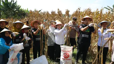 Panen Jagung GP Ansor, Agustina Dorong Pemuda Majukan Pertanian