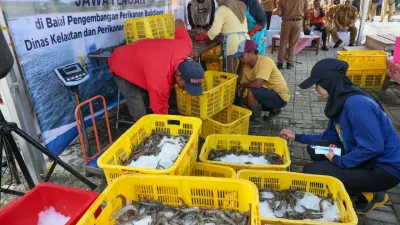 Teknologi Closed System Antar Tambak Udang Pemprov Jateng Panen 1,3 Ton