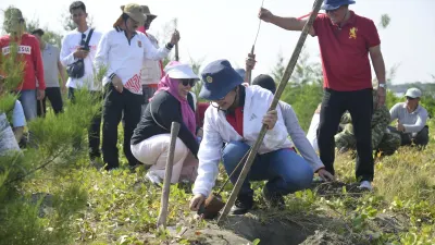 Agustina Minta Karang Taruna Rawat Bibit Cemara Laut di Pulau Tirang