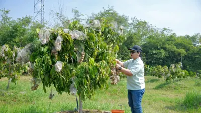 Wali Kota Agustina Wilujeng Resmikan Agro Eduwisata Masjid Agung Semarang