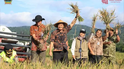 Pertanian Jateng terus diperkuat untuk menopang pangan nasional, dengan target produksi padi 10,55 juta ton GKG pada 2026.