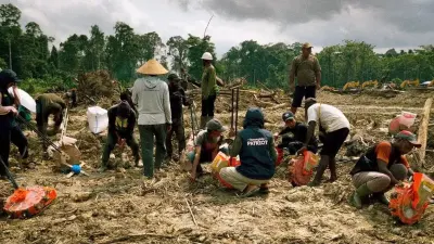TEP UNDIP Ikut Royongan Petani Senggi, Perkuat Ketahanan Pangan di Kabupaten Keerom