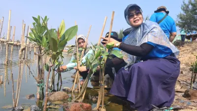 PLN Indonesia Power Tanam 1.000 Mangrove, Perkuat Ekosistem Pesisir Semarang
