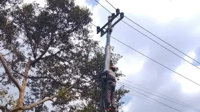 PLN Icon Plus Perapihan Kabel Jaringan di Wonosobo, Jaga Keandalan Infrastruktur