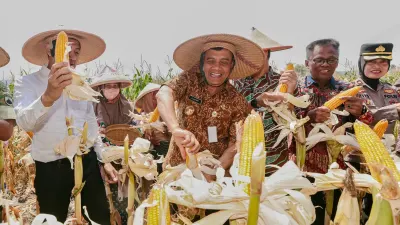 Produksi jagung Jawa Tengah capai 2,68 juta ton hingga September 2026, mengukuhkan Jateng sebagai lumbung pangan nasional dan terus tumbuh.