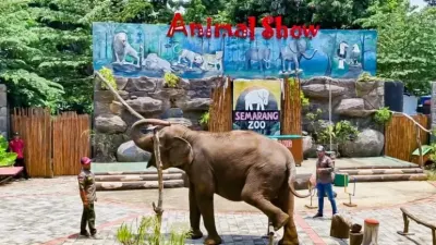Hadapi Cuaca Ekstrem, Semarang Zoo Beri Buah dan Daging Beku untuk Satwa