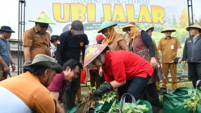 Agustina Dorong Urban Farming di Semarang untuk Perkuat Ketahanan Pangan di Lahan Sempit