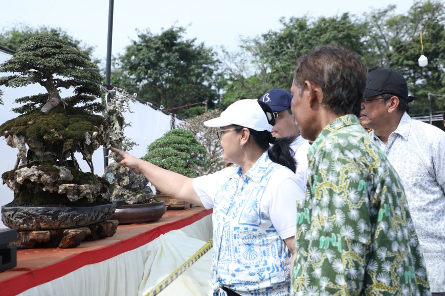 Pemkot Semarang Gagas Akademi Bonsai, Gandeng PPBI untuk Cetak Generasi Pecinta Bonsai