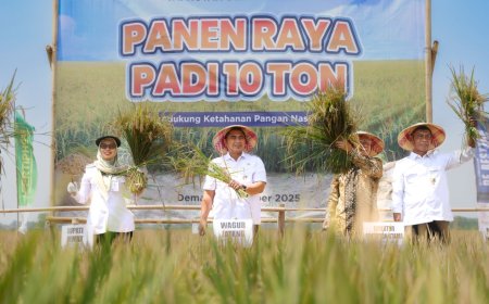 Pemprov Jateng Gandeng Swasta Tingkatkan Produktivitas Padi hingga 14 Ton per Hektare