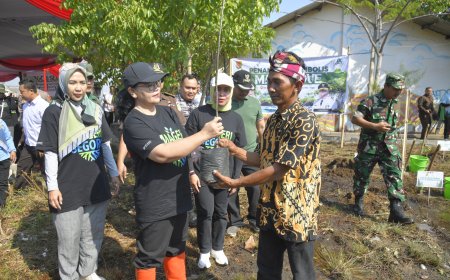 Wali Kota Semarang Gerakkan Penanaman Cemara Laut untuk Dukung Program Mageri Segoro