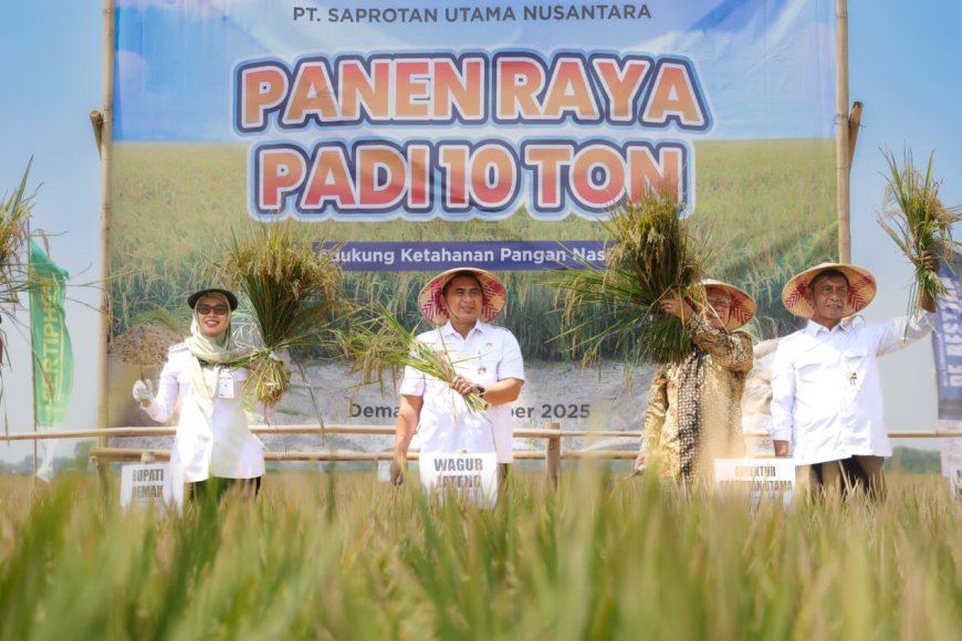 Pemprov Jateng Gandeng Swasta Tingkatkan Produktivitas Padi hingga 14 Ton per Hektare