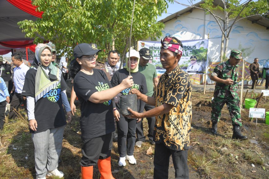 Wali Kota Semarang Gerakkan Penanaman Cemara Laut untuk Dukung Program Mageri Segoro