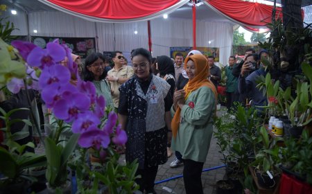 Pameran Tanaman Hias di Semarang Dorong Ekonomi Kreatif dan Minat Generasi Muda