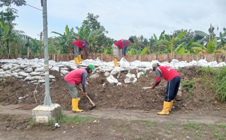 Pemkot Semarang Gerak Cepat Tanggulangi Banjir Tembalang dengan Perkuat Tanggul Kali Babon