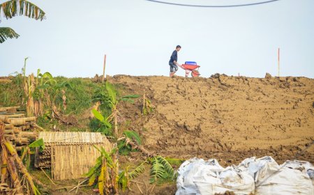 Tanggul Sungai Tuntang Retak, Pemprov Jateng Desak Perbaikan Segera