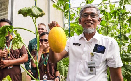 Jateng Dorong Regenerasi Petani dan Inovasi Pertanian untuk Perkuat Ketahanan Pangan