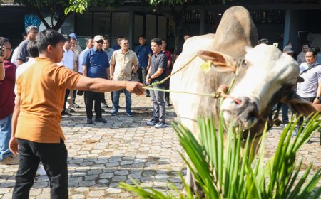 Peternakan Modern di Purworejo Jadi Inspirasi, Berkah Setia Farm Hasilkan Sapi Premium