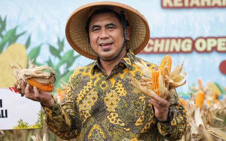 Jawa Tengah Genjot Produksi Pangan 2026, Jagung Ditarget Tembus 3,7 Juta Ton