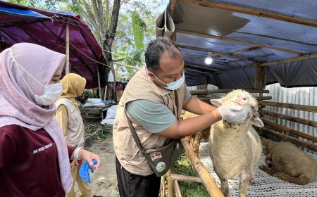 Jelang Iduladha, Dispertan Semarang Temukan Pedagang Hewan Kurban Belum Lengkapi SKKH