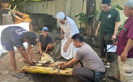 USM Tebar Kurban hingga Desa Tenggelam Rob di Demak dan Pesantren Gus Baha