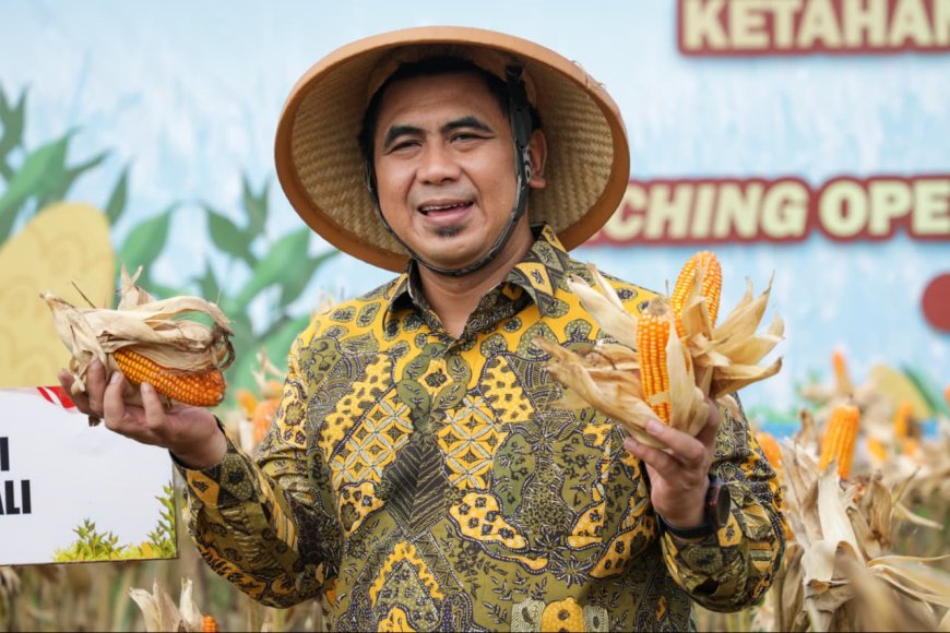 Jawa Tengah Genjot Produksi Pangan 2026, Jagung Ditarget Tembus 3,7 Juta Ton