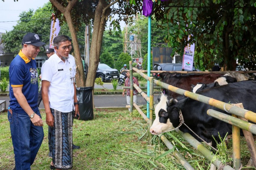 Jelang Iduladha 2026, Pemprov Jateng Perkuat Pengawasan dan Kesehatan Hewan Kurban