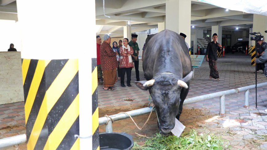 Pemkot Semarang Salurkan Hewan Kurban ke Masjid, Perkuat Tradisi Berbagi di Iduladha