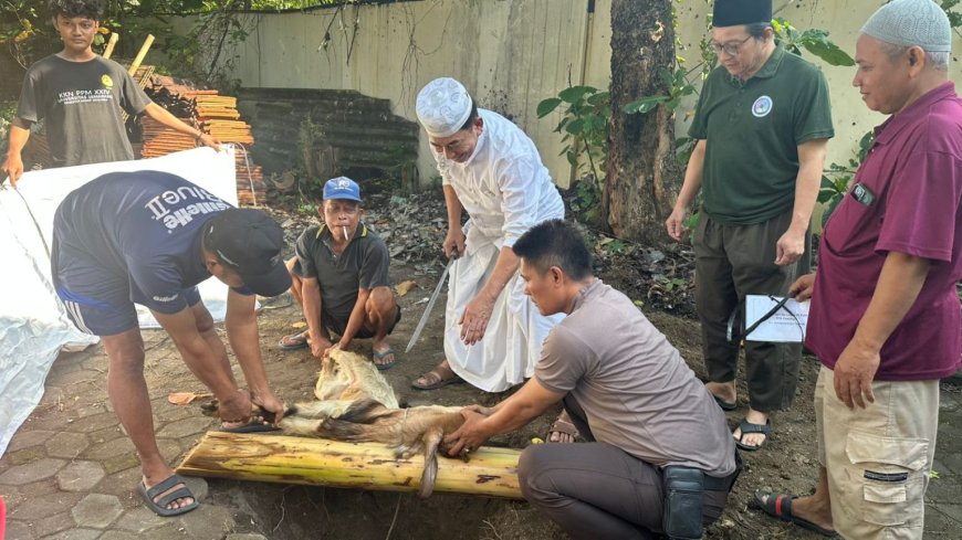 USM Tebar Kurban hingga Desa Tenggelam Rob di Demak dan Pesantren Gus Baha